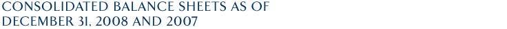 Consolidated Balance Sheets as of December 31, 2008 and 2007