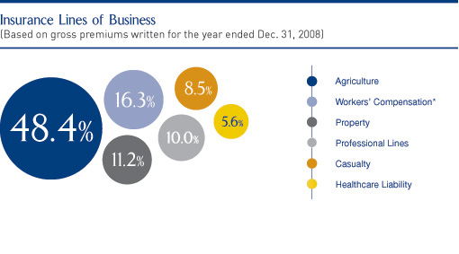 Reinsurance Lines of Business(Based on gross premiums written for the year ended Dec. 31, 2008)